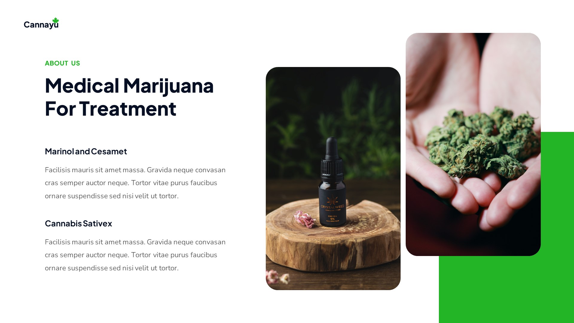 Cannayu - Medical Marijuana & Cannabis PowerPoint Template ...