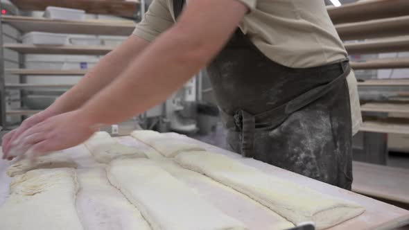 Baker Placing Tray with Formed Raw Dough on Rack Trolley Ready to Bake in the Oven alt