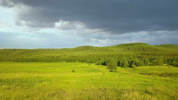 Green Field Nature