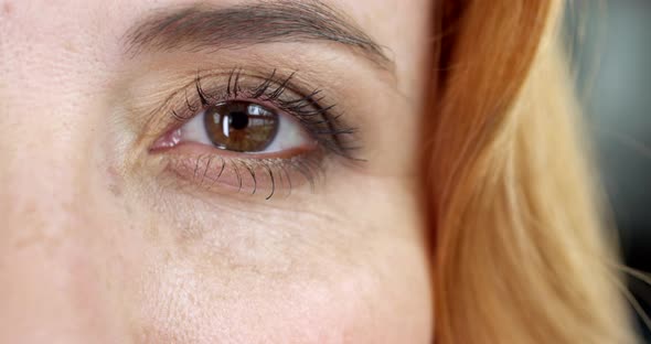 Woman's Brown Eyes alt