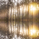Foggy dawn on a forest lake. First sunbeams in the fog - PhotoDune Item for Sale