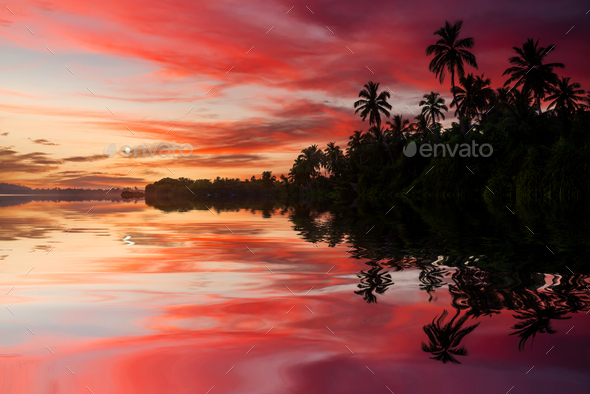 Tropical sandy beach with palm trees at sunset - Stock Photo - Images