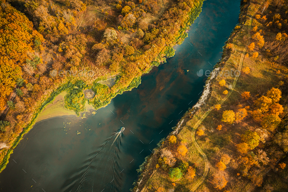 Aerial view of yellow forest woods and river marsh bog in autumn landscape. Bird\'s eye view of marsh