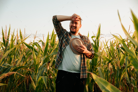 Tired young man stand in cornfield, took off hat, wipe sweat from forehead,