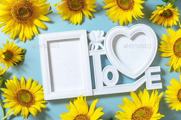 Picture frame, Sunflower photo frame with copy space on pastel blue ...