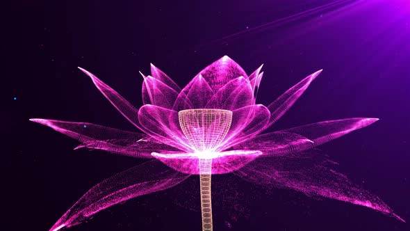 Pink lotus particles