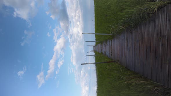 Walk on a wooden bridge in the green grass of the Baltic