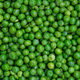 Background Texture Of Garden Peas - PhotoDune Item for Sale