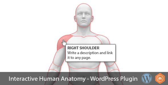 Interactive Human Anatomy - WordPress Plugin