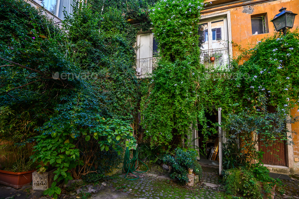 Antique front door. Yard full of plants in the Trastevere area. Italy, Rome.