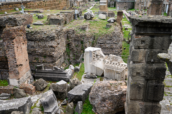 Ruins of the Roman forum. The historical open-air museum. Rome, Italy