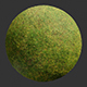 Grass Lawn Hi-Res Texture (4k)
