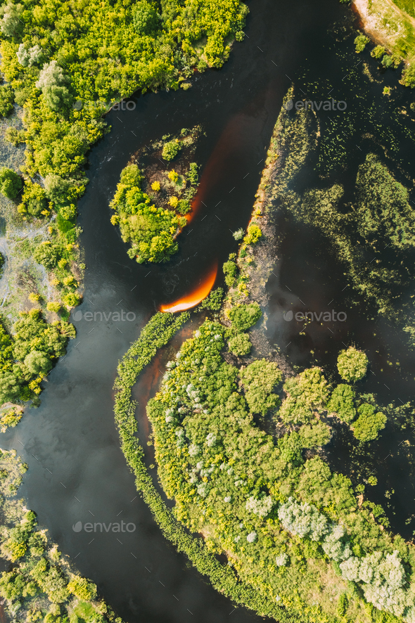 Aerial view. Green forest and river marsh landscape in summer. Top view of european nature from high