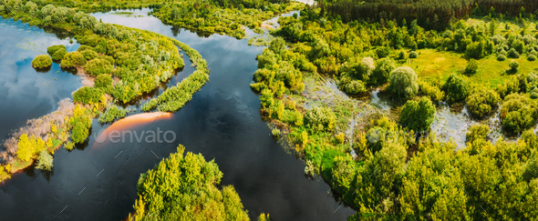 Aerial view. Green forest, meadow and river marsh landscape in summer. Top view of european nature