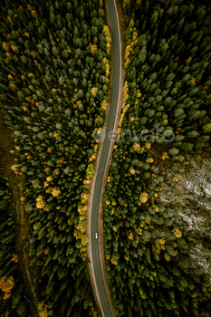 Aerial view of road through fall woods with colorful trees