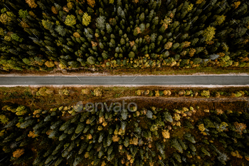 Aerial view of road through fall woods with colorful trees