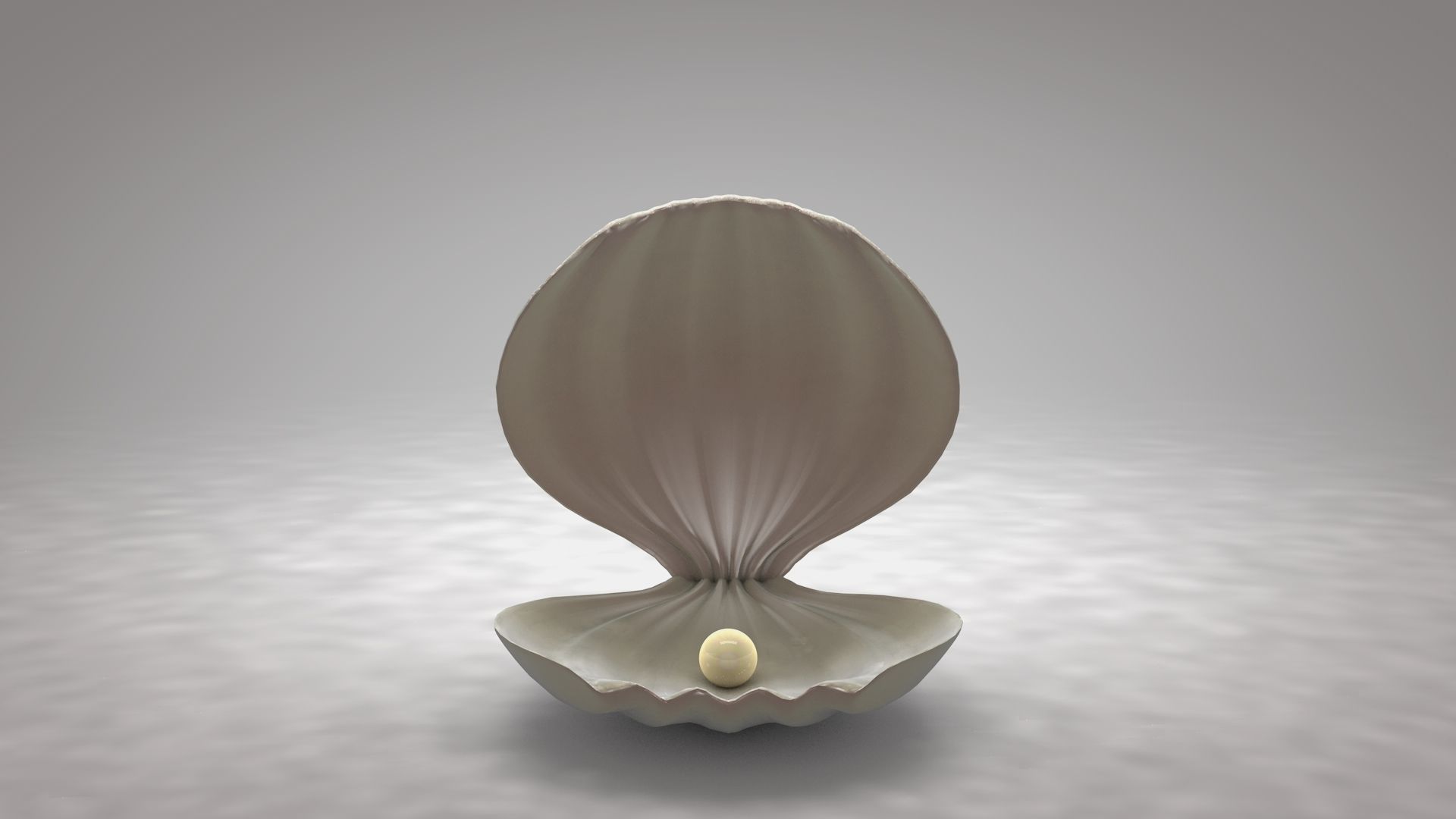 Clamshell with a Pearl by pinnaclecgarts 3DOcean