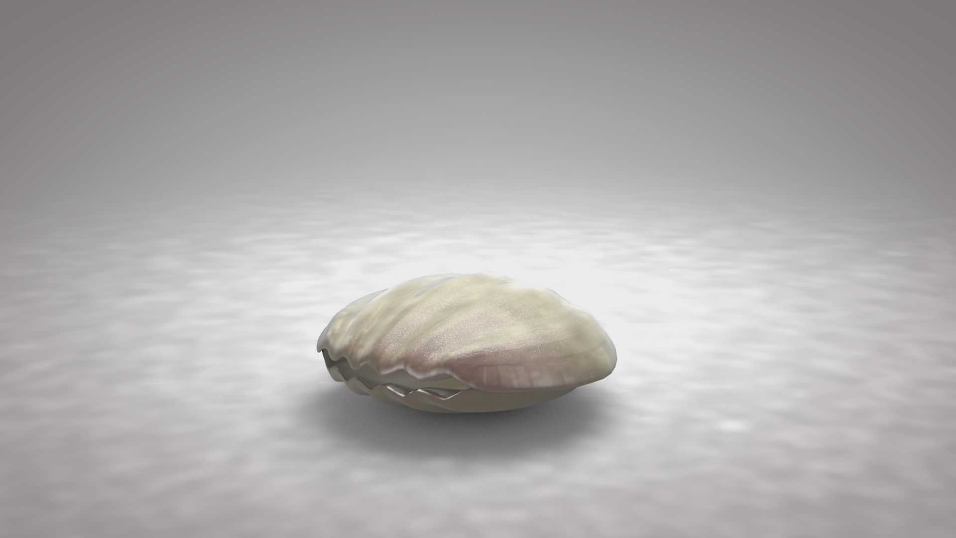 3D Clam Shell Pearl Animation Model - TurboSquid 1545779