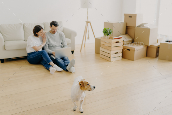 Lovely couple uses laptop together, buy furniture online for new apartment, sit on floor near sofa