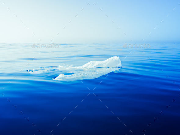 plastic bag floating on the surface of the ocean