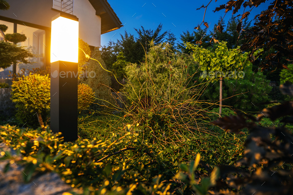 LED Backyard Lighting Illuminate Garden Plants