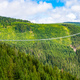 Sky Bridge 721 is the longest suspension bridge between two hills in the forest - PhotoDune Item for Sale