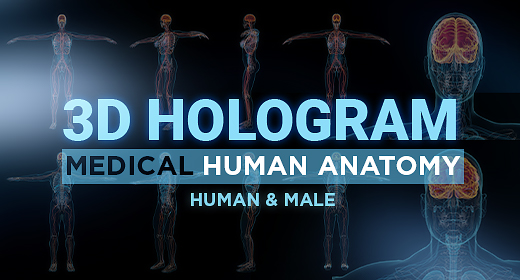 3D Hologram Medical Human Anatomy