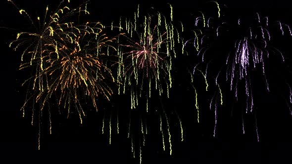 Multicolor Sparkling Fireworks Display with Reveal, Loop and Matte