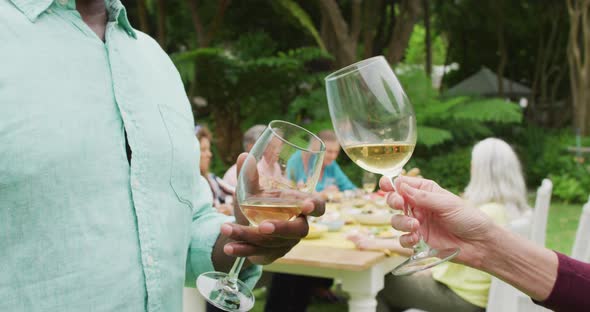 Animation of midsection of diverse senior male and female friends toasting with wine in garden alt