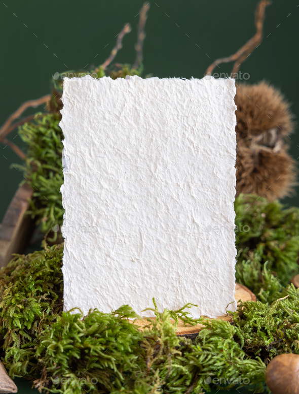 Vertical handmade paper card between natural green moss closeup, mockup