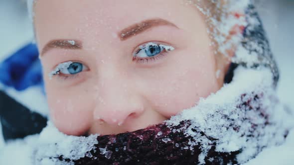 The Snow on the Eyelashes alt