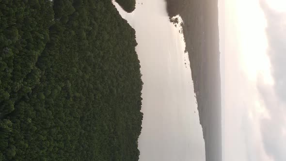 Zanzibar Tanzania  Coast of Island Covered with Thickets Slow Motion alt