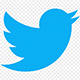 Twitter Phones And eMails Scrapper & Extractor Pro with Multi-Keywords
