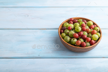 Fresh red and green gooseberry in wooden bowl on blue wooden, side view, copy space.