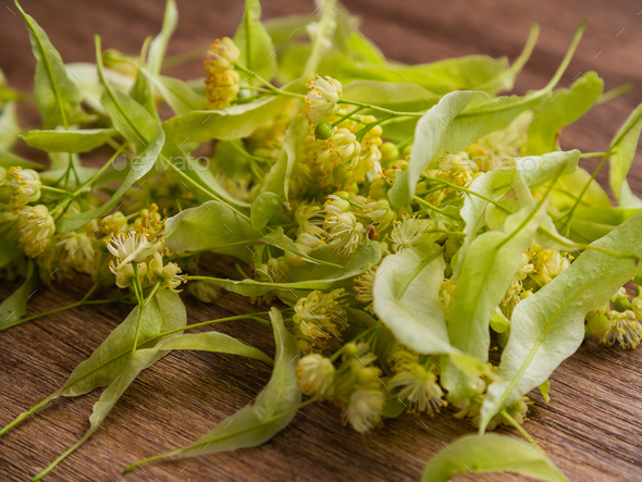 Bunch of linden flowers and leaves on wooden table for linden herbal tea - herbal therapy and