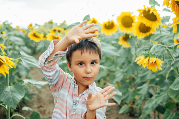 Adorable Little Kid Boy On Summer Sunflower Field Outdoor. Happy Child 