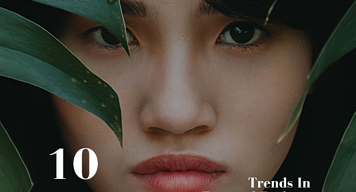 Fashion Magazine Word Press