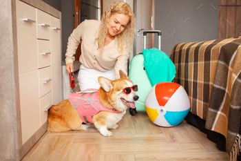 woman, dog preparing for vacation, packing things, suitcase, cool funny corgi in sunglasses, pink