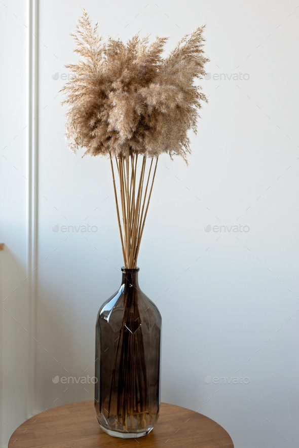 Dried natural pampas grass in a glass vase. Interior decor element. Boho background. Minimalism
