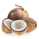coconut on white background - PhotoDune Item for Sale