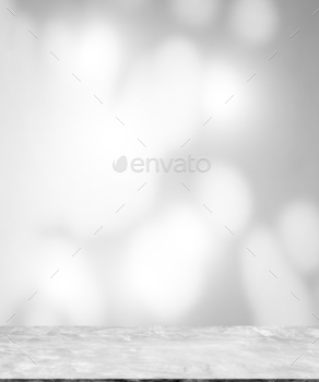 Background Studio Room with wall shadow leaves plant.