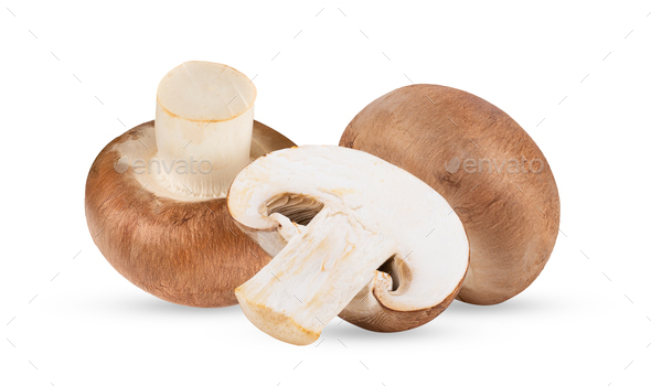 Fresh champignon mushrooms isolated on white - Stock Photo - Images