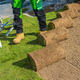 Building New Natural Grass Turfs Lawn - PhotoDune Item for Sale