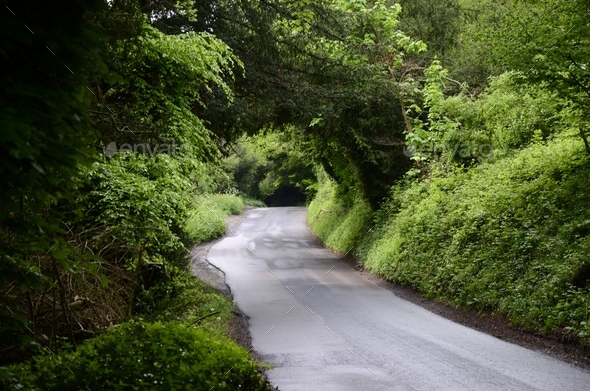 Curvy countryside rural road in England with green tunnel arch trees. Nature green landscape rural