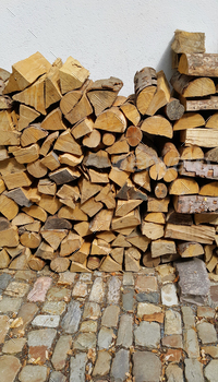 Firewood pile stacked chopped wood trunks
