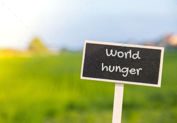 Wooden information label sign with text WORLD HUNGER against defocused agriculture field message