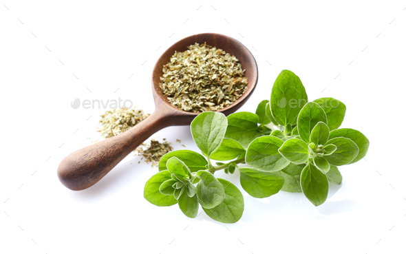 Marjoram twigs with dry marjoram in wooden spoon on white background - Stock Photo - Images