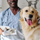 Veterinarian with domestic dog at clinic - PhotoDune Item for Sale