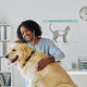 Woman examining dog with stethoscope - PhotoDune Item for Sale