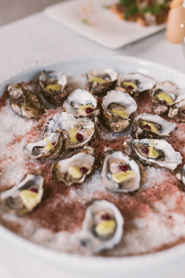 Oysters - Stock Photo - Images